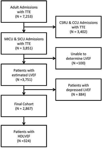 hyperdynamic left ventricular ejection fraction.